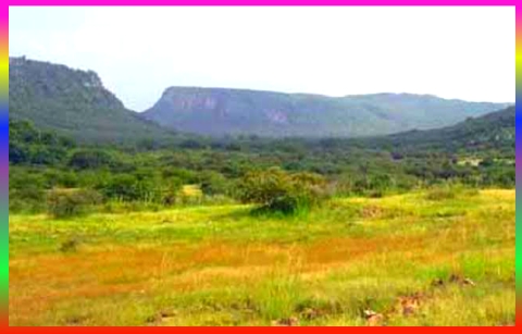 Kachida Valley Ranthambore
